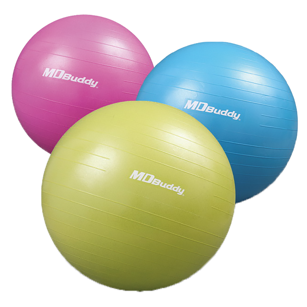 Gym Ball – Anti-Burst Stability Exercise Ball