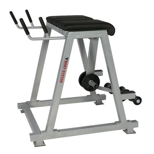 Reverse Hyperextension – Back and Glute Trainer