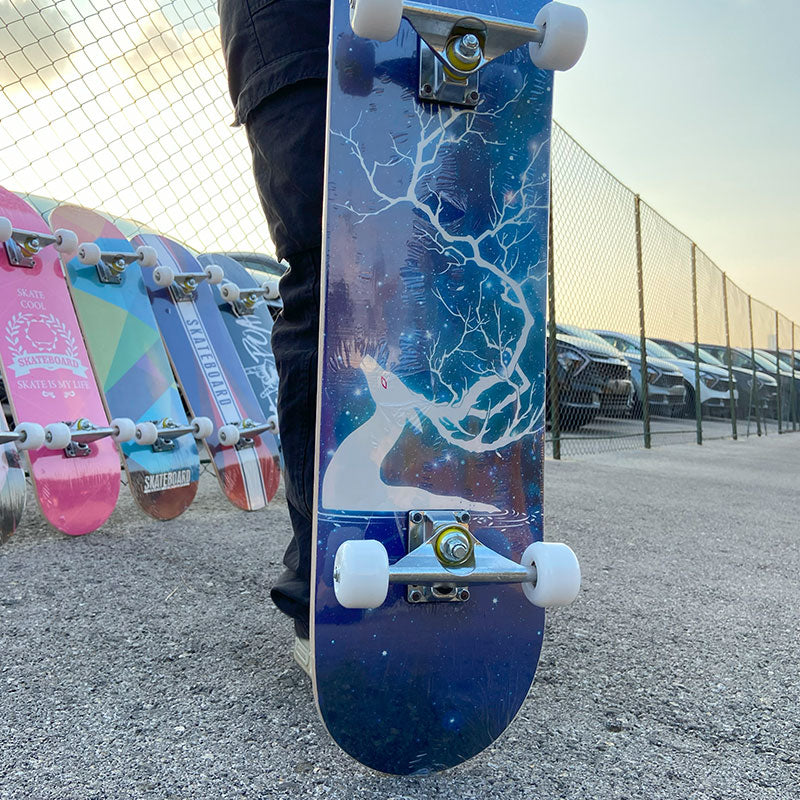 Skateboard | 2