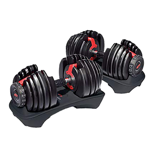 Bowflex Adjustable Dumbbell 24 kg – Smart Weight System