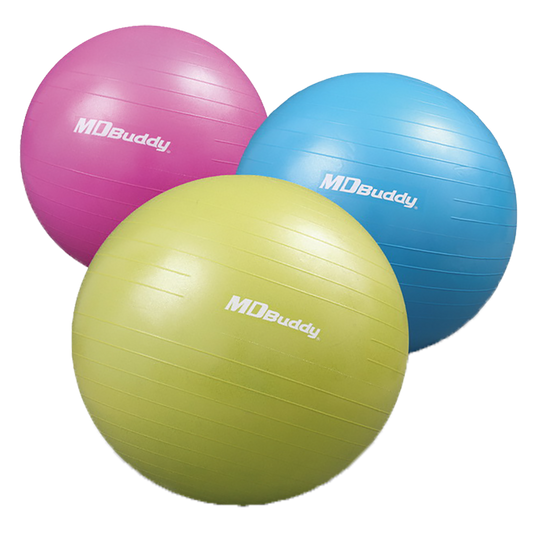 Gym Ball – Anti-Burst Stability Exercise Ball