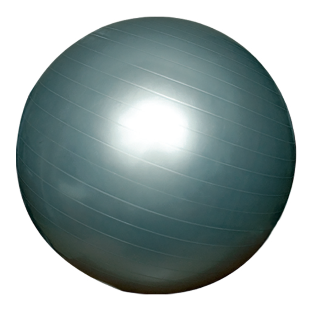 Gym Ball – Balance Training Fitness Ball