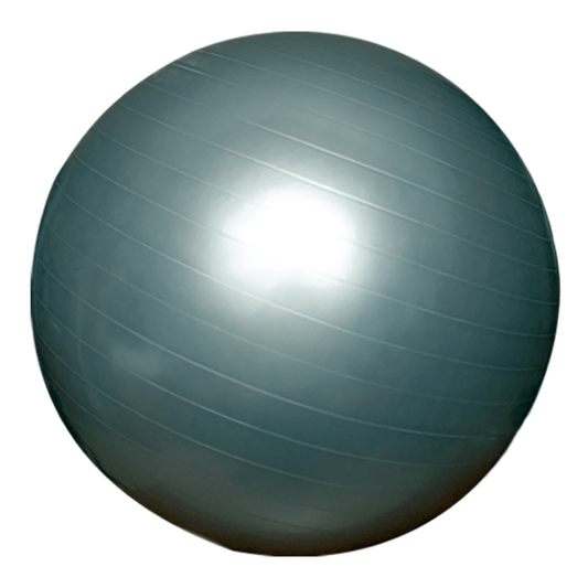 Gym Ball – Balance Training Fitness Ball