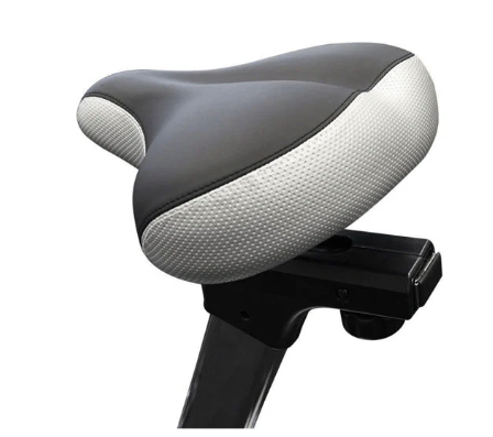 Bike Horizon Paros Pro - Upright Exercise Bike